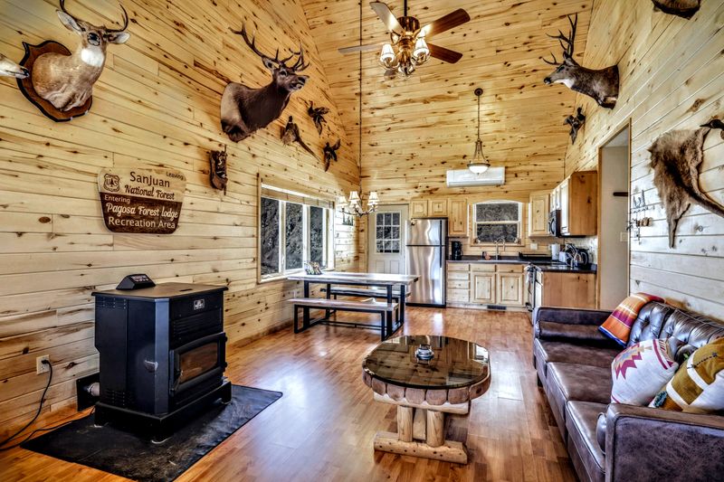 Cabin interior great room